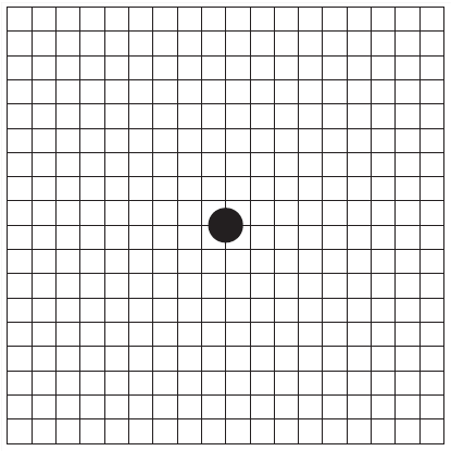 amslerjev test